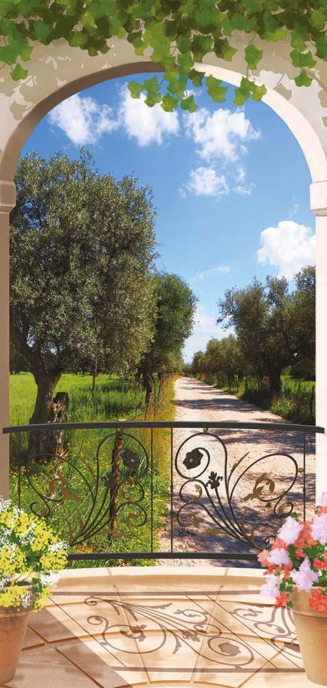 Tarrazzino sugli ulivi - WS-BIG328