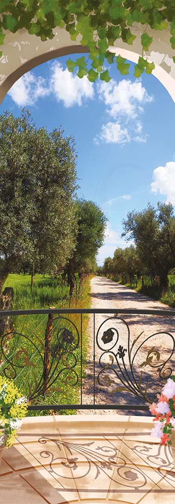 Tarrazzino sugli ulivi - WS-BIG328