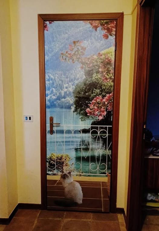 Accesso al terrazzo sul lago - NG-P252