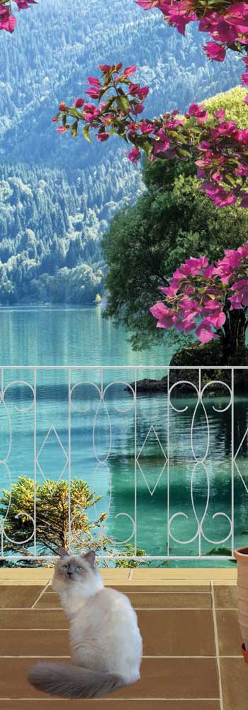 Accesso al terrazzo sul lago - NG-P252
