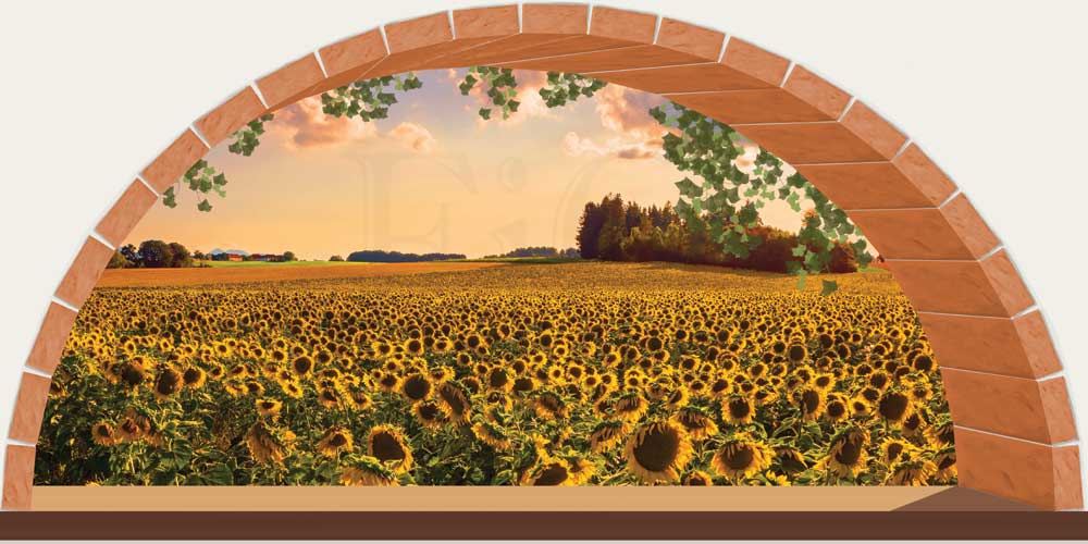 Arco su un campo di girasoli - SC-F595