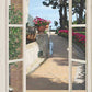 Porta finestra sul porticato e viale fiorito - WS-P200